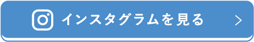 インスタグラムを見る